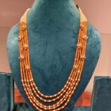 WhatsApp Image 2026-01-31 at 5.05.42 PM