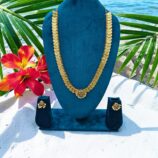 WhatsApp Image 2026-03-02 at 7.31.10 PM